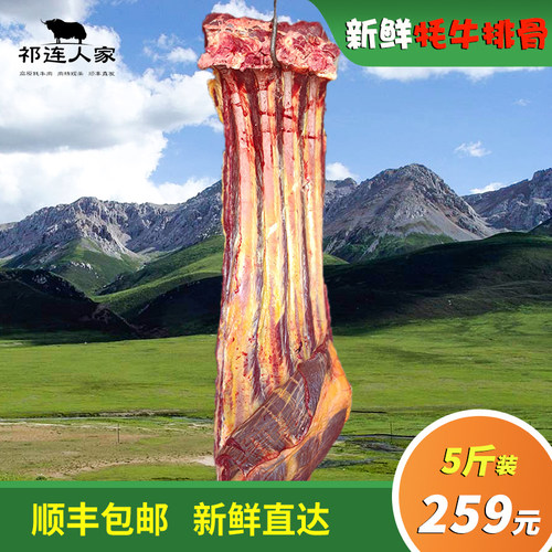 肃南牦牛肉牛肋排满肉新鲜