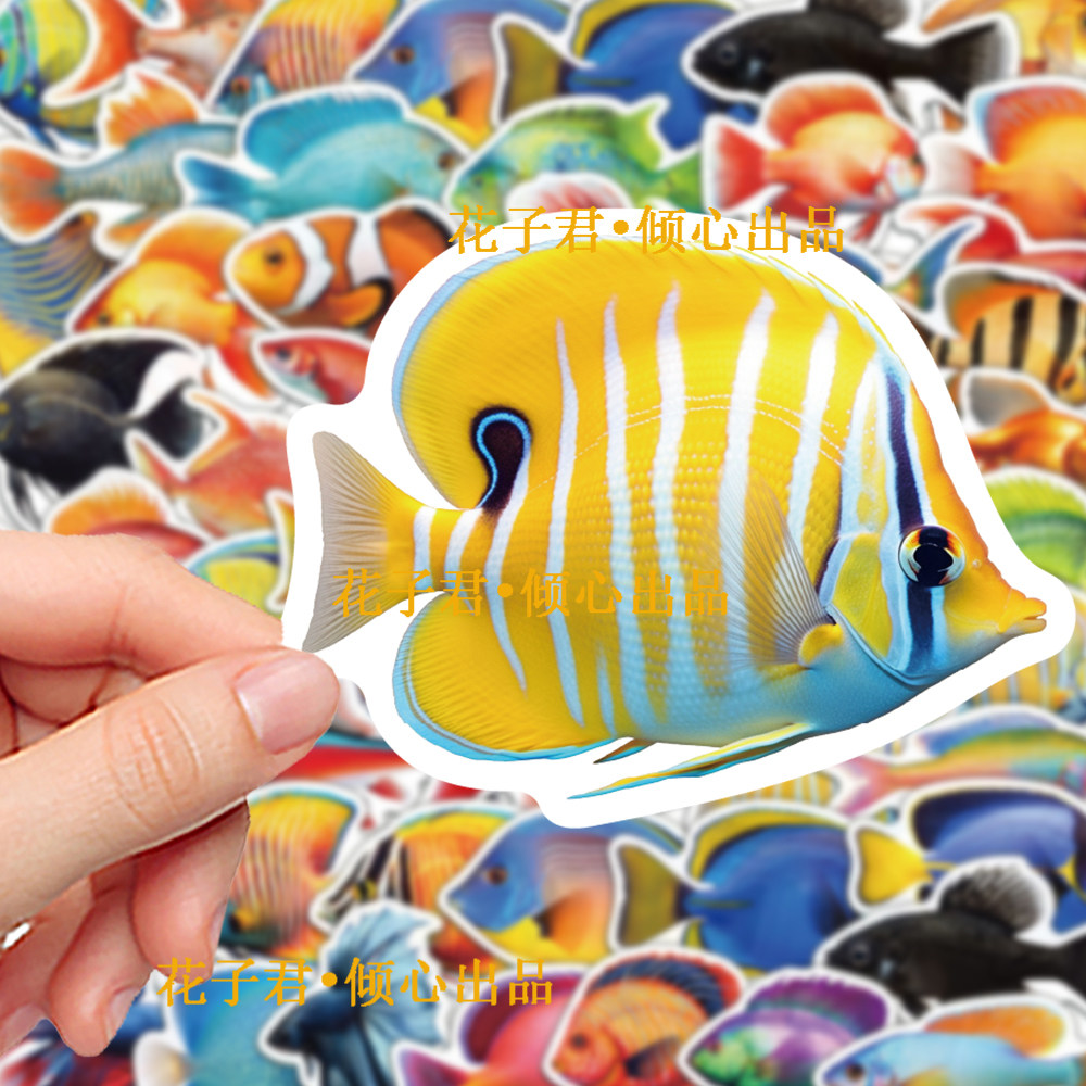 100张彩绘热带鱼贴纸创意海洋生物diy笔记本桌面手账装饰贴画防