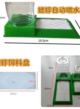 金蟋蟋蟀养殖蟋蟀饲料用品