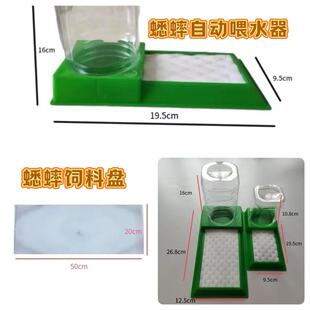养殖蟋蟀用品自动喂水器饲料盘孵化盘油葫芦双板白蟋蟀蝈蝈专用