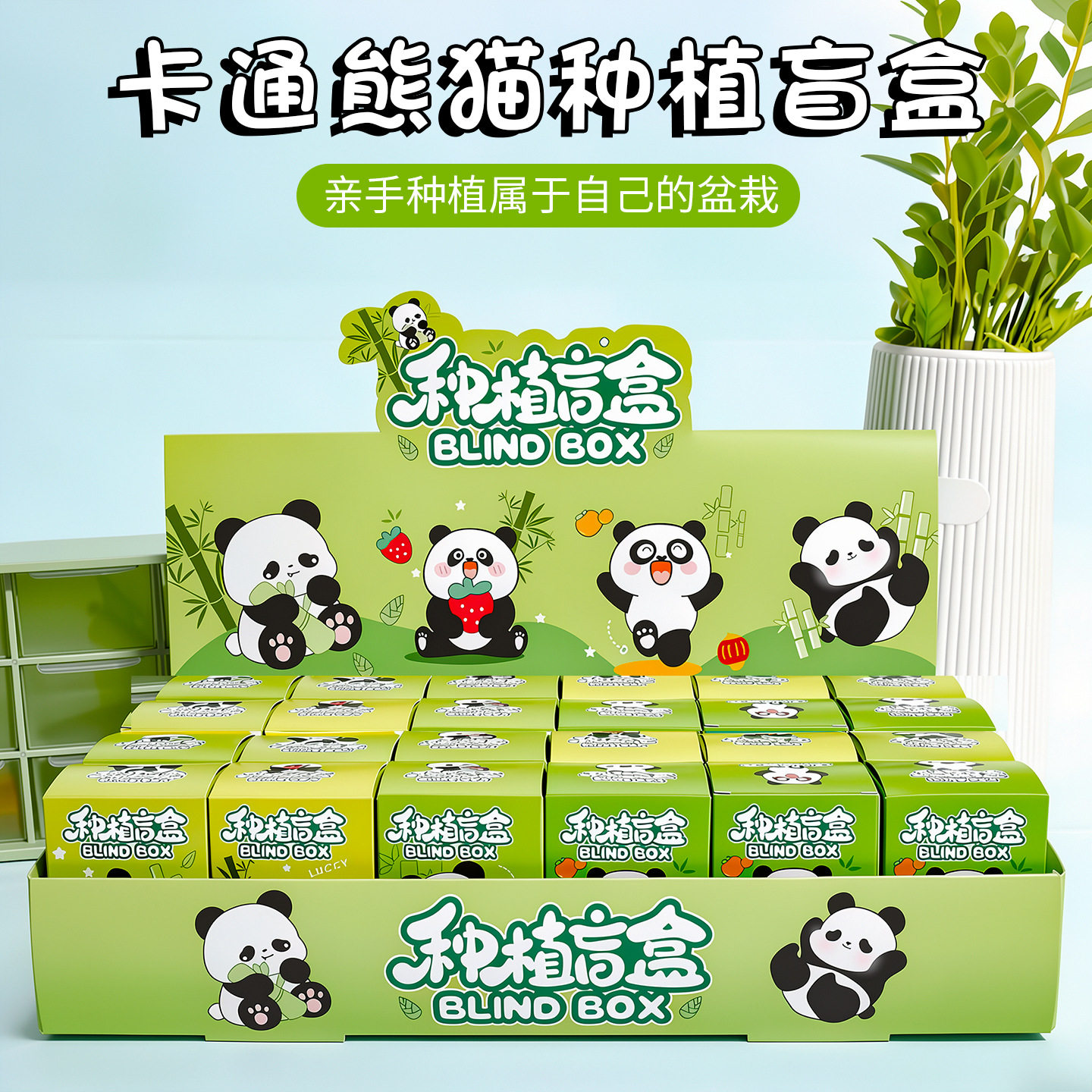 熊猫种植盲盒儿童盆栽礼盒图片