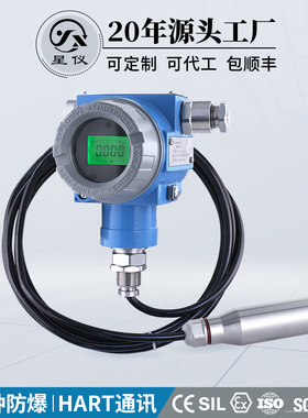 星仪CYW13C防爆投入式液位变送器HART数显油位计液位计水位传感器