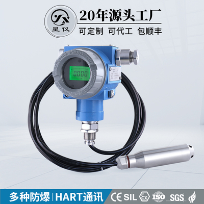 星仪CYW13C防爆投入式液位变送器HART数显油位计液位计水位传感器