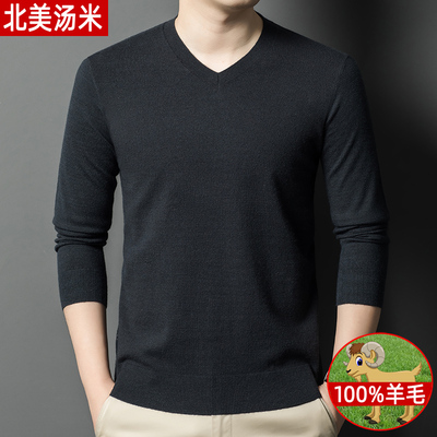 北美汤米男士羊毛衫薄款毛衣v领