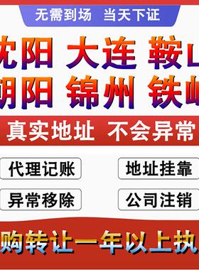 辽宁沈阳个体工商户营业执照代办理公司注册销转让核定征收申年报