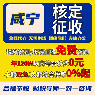 咸宁个体户核定征收小额双免大额核定电商税务合规申报咨询记账