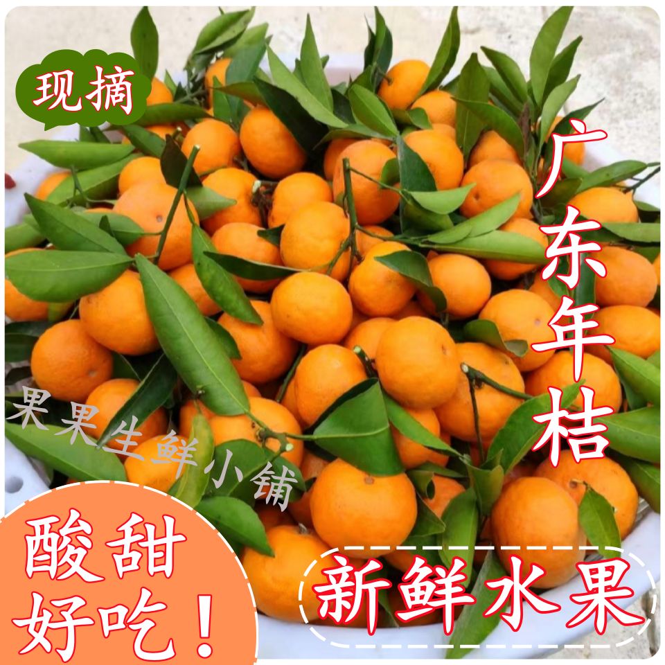 龙门年桔正宗新鲜现摘酸甜广东年桔孕妇水果爆汁橘子整箱包邮特产,水产肉类/新鲜蔬果/熟食,桔子,淘宝优惠券,粉丝福利购,淘宝优惠卷