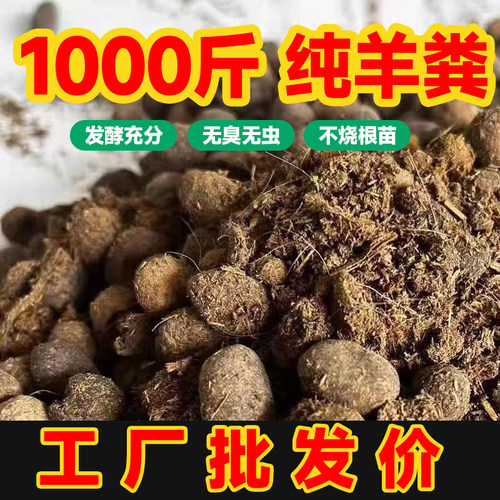 纯羊粪腐熟发酵羊屎蛋颗粒1000斤