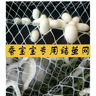 蚕宝宝吐丝结茧网大网片小网片质保8年养蚕专用工具