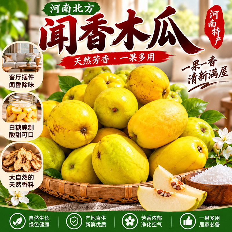 河南北方香木瓜药用泡酒除味
