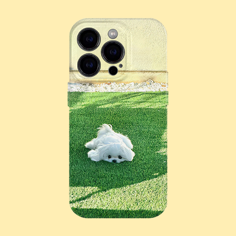 马尔济斯小狗可爱手机壳