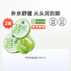 凝胶祛痘韩国原装 自然乐园芦荟胶300ml 2罐晒后修复面霜保湿 进口