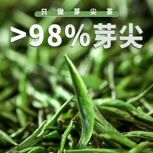2026新茶雀舌明前嫩芽口粮茶