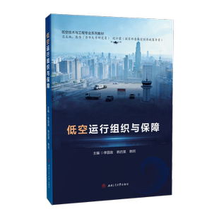 低空运行组织与保障  李国政