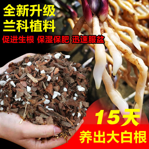 兰花专用土植料营养土