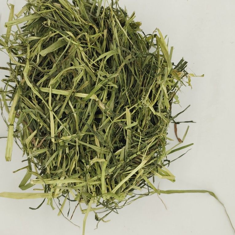 25年晒干草晒干提摩西兔子龙猫荷兰猪草幼兔饲料2斤包邮兔兔主粮,宠物/宠物食品及用品,兔兔干草,淘宝优惠券,粉丝福利购,淘宝优惠卷