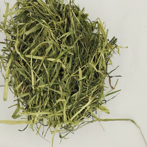 25年晒干草晒干提摩西兔子龙猫荷兰猪草幼兔饲料1斤兔兔主粮