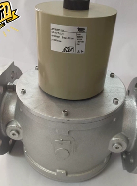 议价 SG65FQ/220施能电磁阀SG80FQ/220安全阀