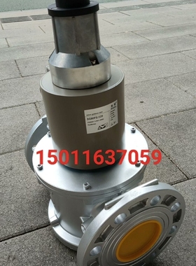 议价 SG80FS/220施能慢开电磁阀SG65FS/220