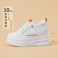 Апельсиновое 10 см [сетка]