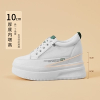 Зеленый, 10см [сетка]