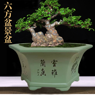 紫砂花盆大口径六方行花盆特大号六角透气盆栽榕树老桩盆景盆促销