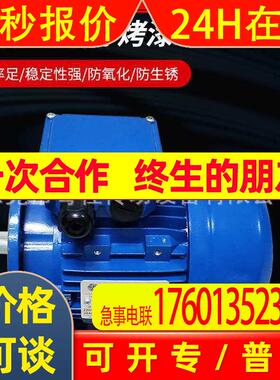 DR brives电机 意大利DRDRIVES铝壳马达TH71B4/0.37KW B14/B5