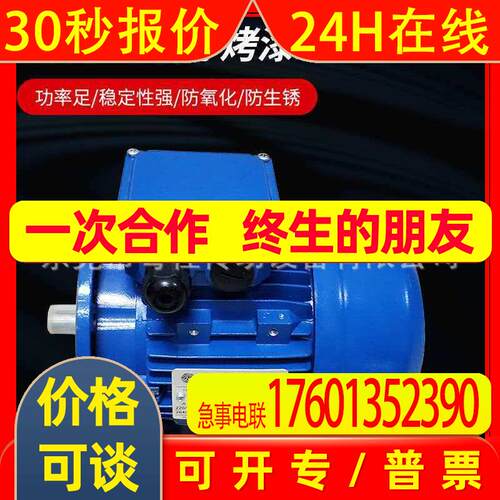 DR brives电机 意大利DRDRIVES铝壳马达TH71B4/0.37KW B14/B5