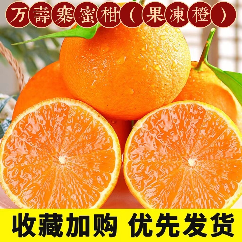 万寿寨蜜柑园爱媛果冻橙泉水柑红美人桔子柑桔蜜柚子时令新鲜水果