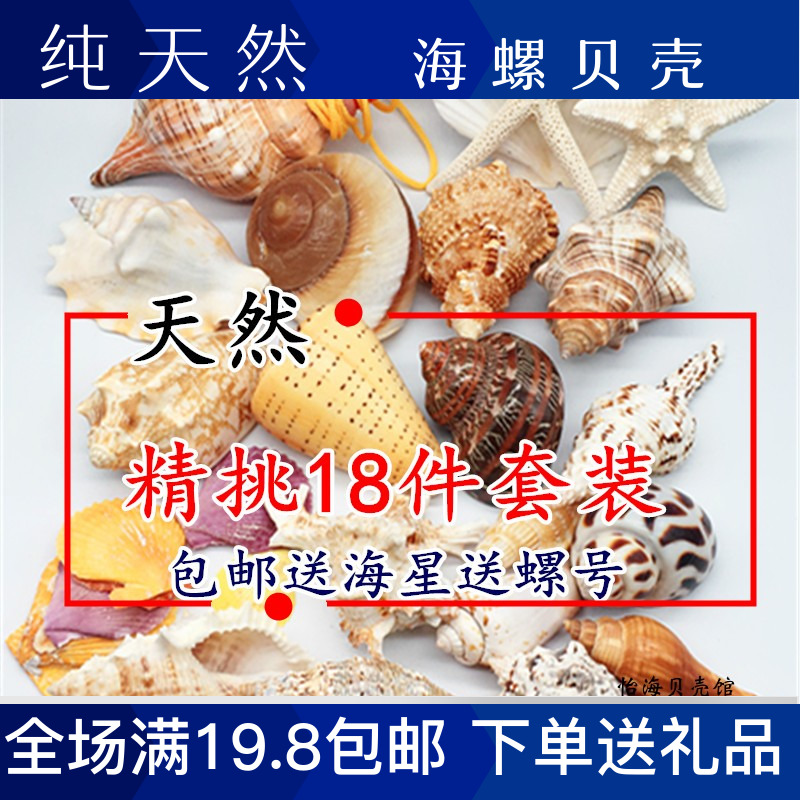 包邮天然贝壳海螺海星珊瑚小螺号套装鱼缸造景装饰品寄居蟹替换壳