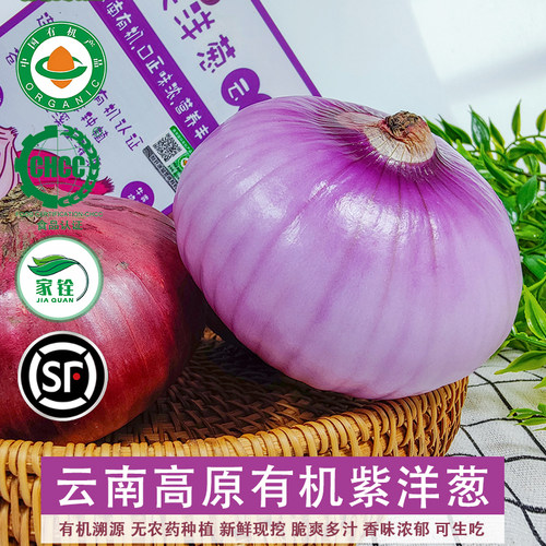 云南有机紫皮洋葱无农药新鲜现挖