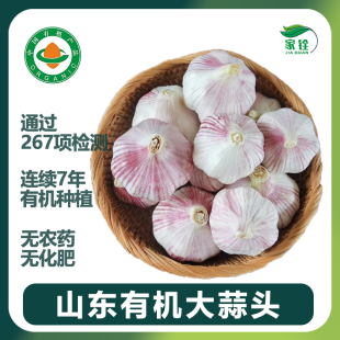 山东有机大蒜2斤5斤 大蒜头干货炒菜调味辛辣味浓郁 不打农药当季