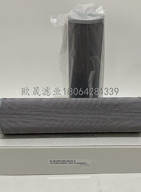 01.NL630.3VG.30.S1.P SH65437 0630DN003BN4HC 300371液压油滤芯