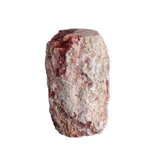 千蕊树化石摆件 树化玉原石把玩木化石把玩木化玉硅化木