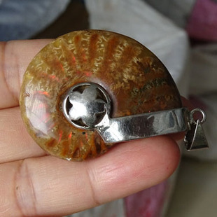 千蕊 天然斑彩螺吊坠 化石原石项链毛衣链 菊石化石可作包挂实物