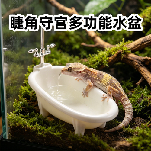 睫角守宫多功能水盆泡澡盆肥尾豹纹蜥蜴爬宠饲养缸箱环保丰荣造景