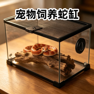宠物蛇饲养缸玉米蛇专用生态缸蛇类爬宠缸放逃带锁透气观赏展示箱