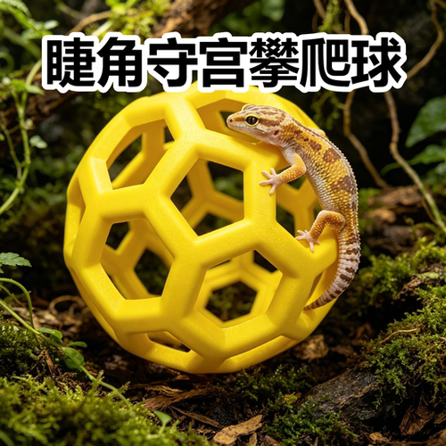 睫角守宫爬宠攀爬球宠物蛇玩具专用躲避镂空橡胶球丰荣造景用品
