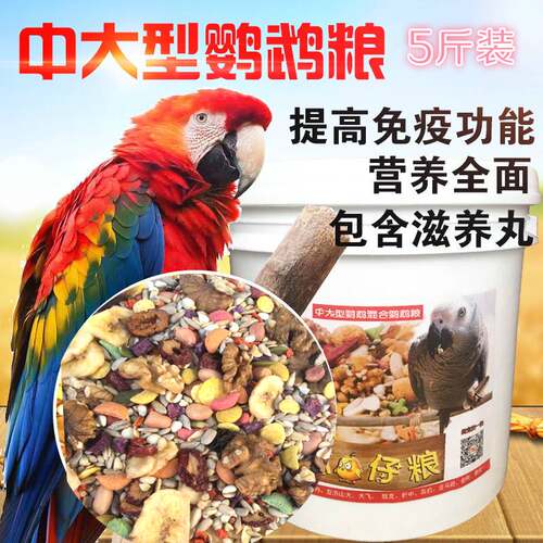 新品中大型无壳灰鹦鹉饲料鸟粮食天空5斤装桶