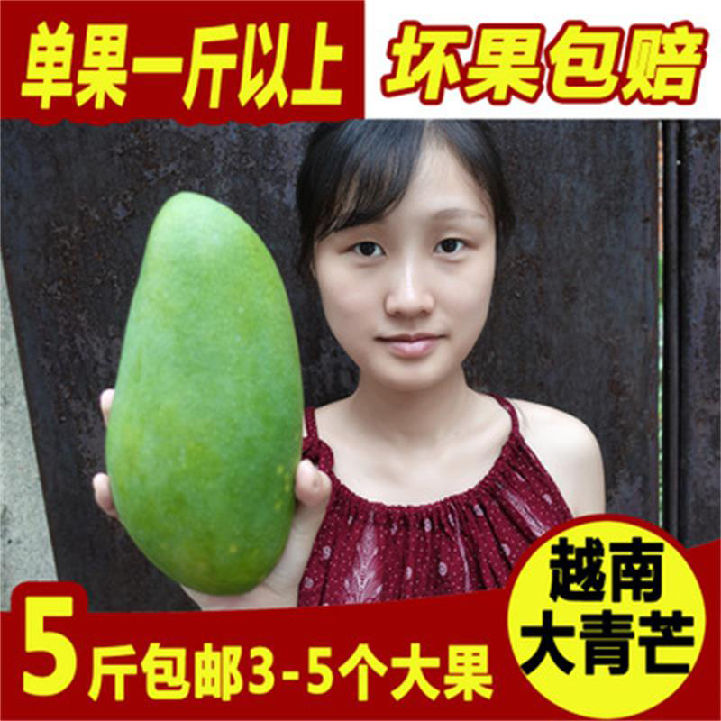 芒果新鮮包郵大青芒5斤金煌芒原產地特產現摘越南進口水果特大