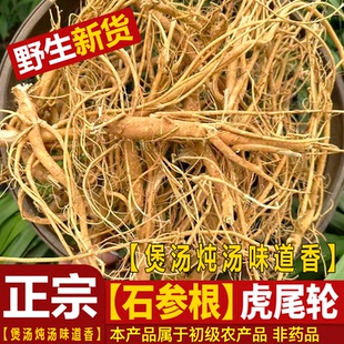 福建野生虎尾轮根野生石参根新鲜晒干石参根 煲汤 炖汤食材中药材
