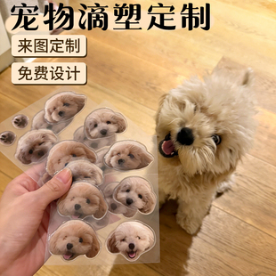 宠物水晶滴塑小狗贴纸定制diy猫咪立体不干胶萌宠照片pvc防水标签