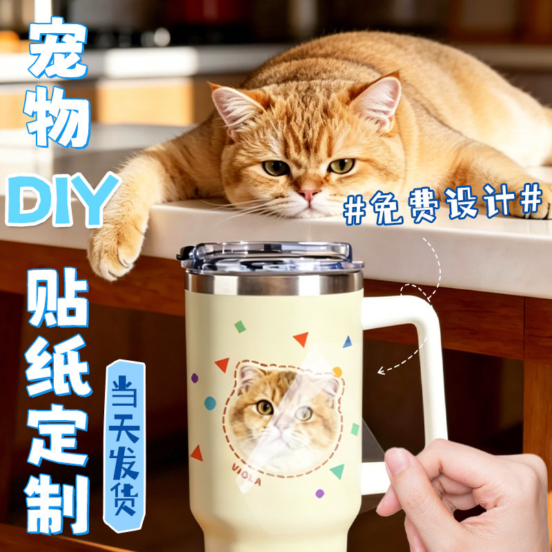 保温杯贴纸定制diy宠物头像立体水晶标撕膜留字透明丝印不干胶猫咪