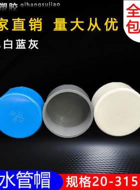 PVC给水管管帽 管堵 闷头 堵头20 25 32 40 50 63 75 90 110 160
