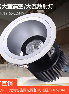 大瓦数射灯酒店大堂高空商场高铁站机场筒灯20W30瓦40W50瓦天花灯