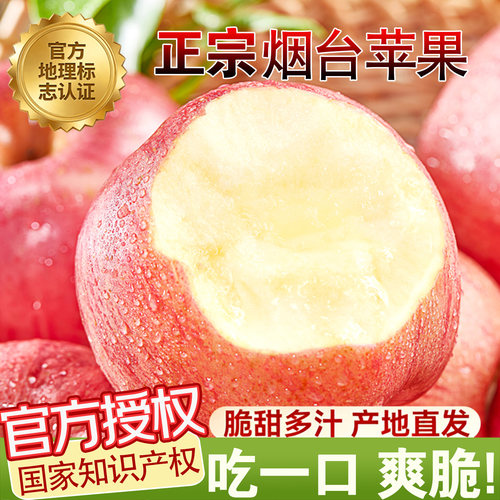 烟台红富士新鲜采摘脆甜多汁