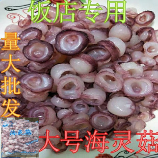 海灵菇延边特色啤酒菜辣炒大号海灵菇海鲜章鱼吸盘海灵菇