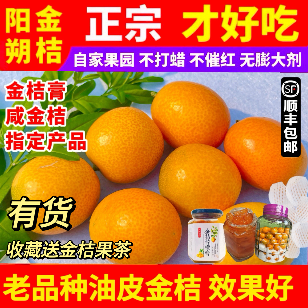 广西桂林阳朔油皮金桔新鲜水果老品种酸甜特产现摘顺丰包邮5斤 水产肉类/新鲜蔬果/熟食 桔子 原图主图