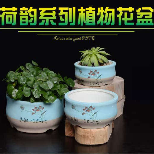 简约铜钱草绿萝文竹多肉绿萝植物花盆家用阳台客厅盆栽老桩花盆
