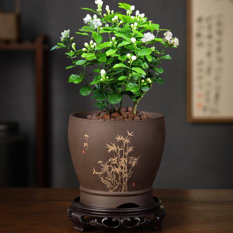 紫砂兰花蝴蝶大号清仓带托盘君子兰绿萝专用盆透气植物多肉花盆